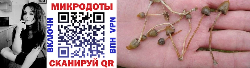 наркошоп Евпатория Псилоцибиновые грибы мухоморы